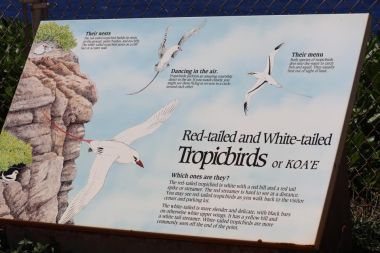 Tropicbird signage